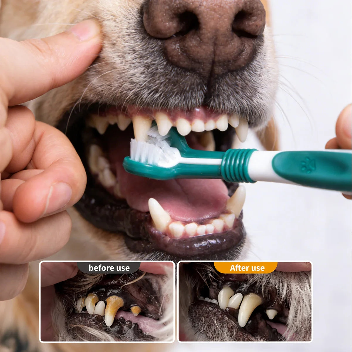 Cepillo de Dientes de 3 caras para Mascotas