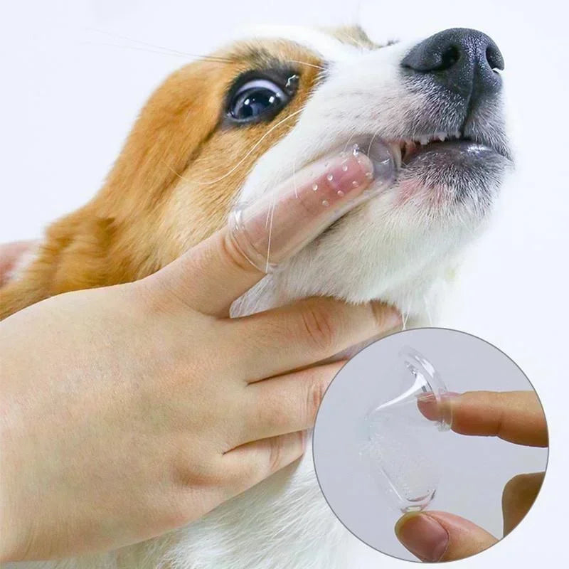 Pack x5 Cepillos de dientes de silicona para mascotas